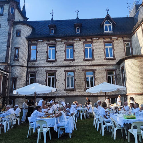 Picknick in Weiß im Ständehausgarten